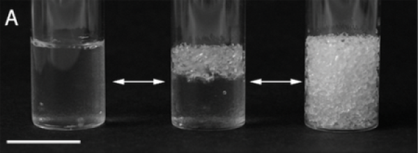 Scientists develop artificial transparent soil