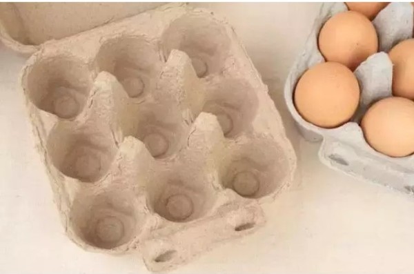 Amazing handmade egg tray method