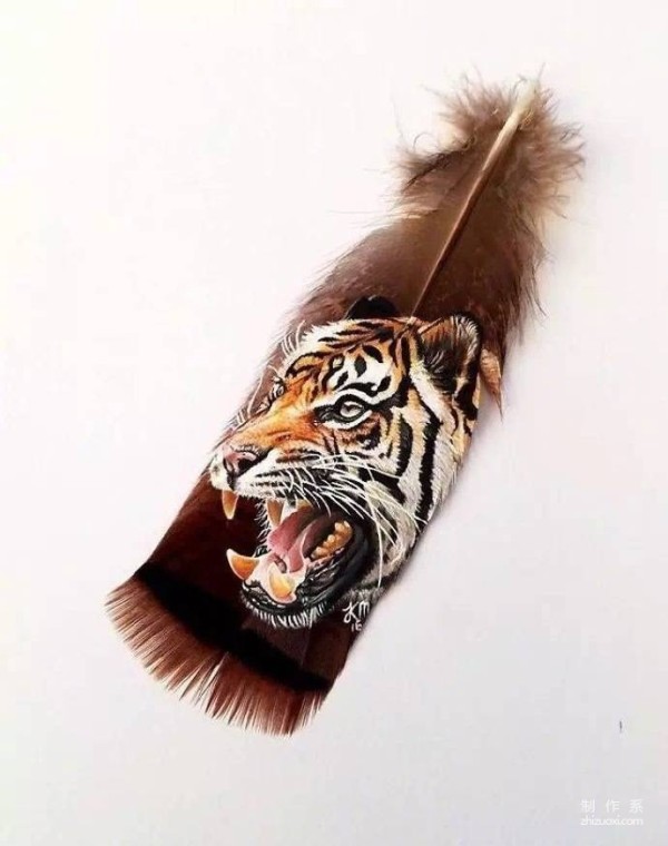 Animal illustrations on feathers 丨 Krystle Missildine-