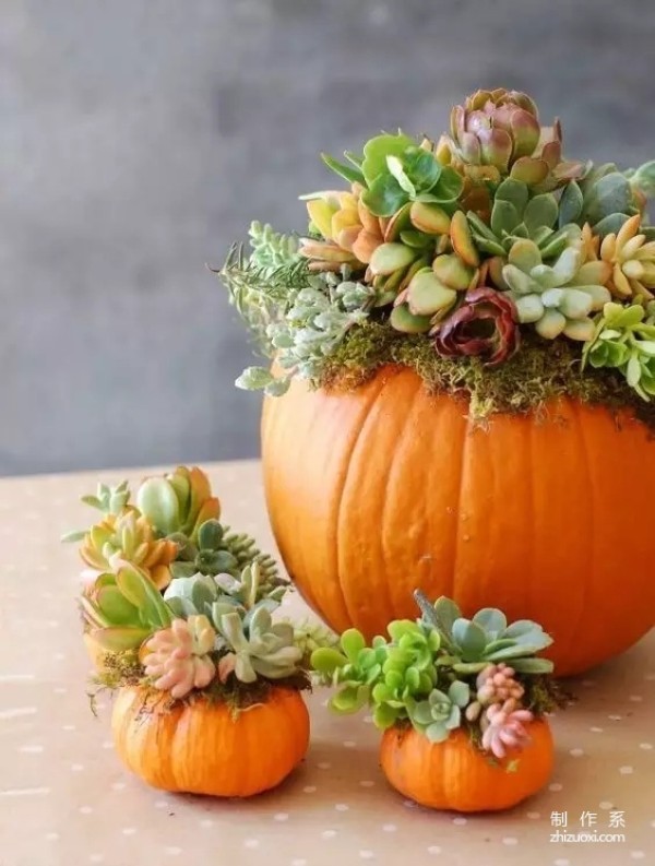 Make beautiful flower arrangements with endless fruits and vegetables