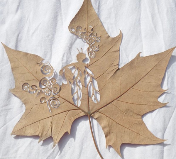 art on leaves