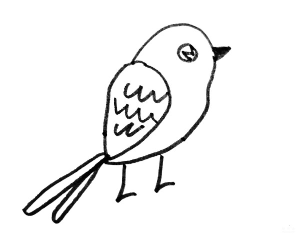 Learn to draw simple strokes, simple drawing methods of colorful birds