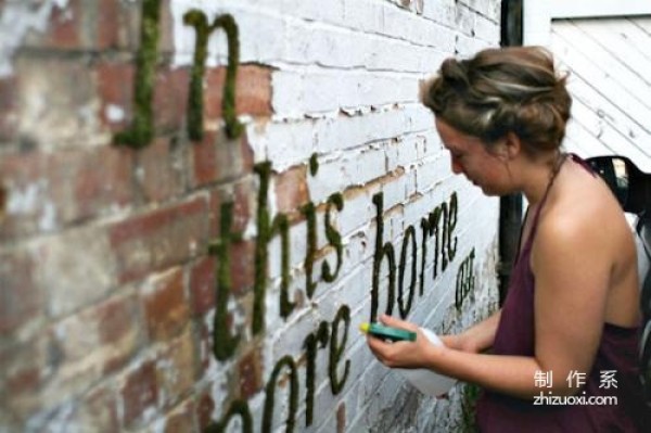 Teach you how to make moss graffiti