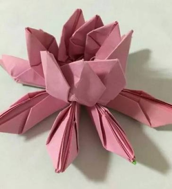 Three-dimensional origami lotus tutorial