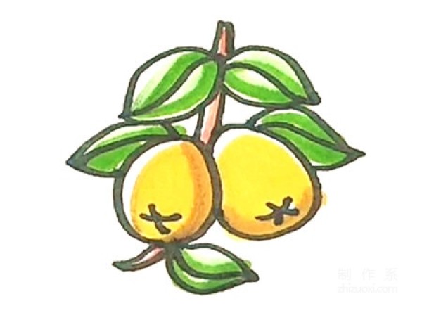 Learn to draw simple strokes, simple strokes of loquat