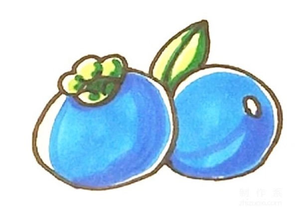 Learn to draw simple drawings, simple drawings of blueberries