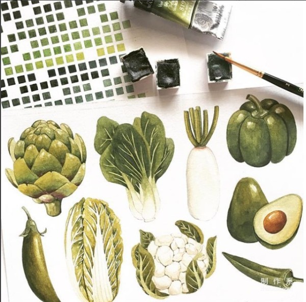 Sharing a wave of plant watercolor paintings~ It’s also very good as a handbook material!