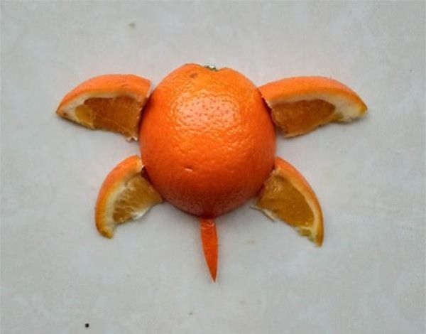 How to make orange peel collage with little turtles