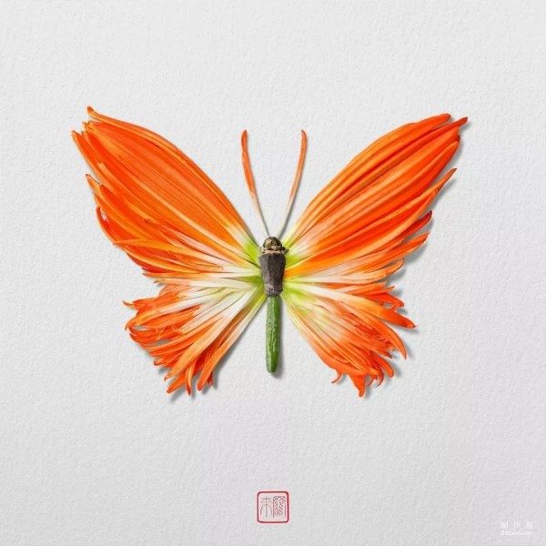 Make an insect world out of petals and leaves