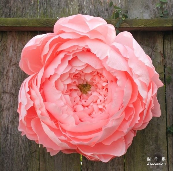 Appreciation of pictures of flowers blooming on paper, paper art flower handicrafts