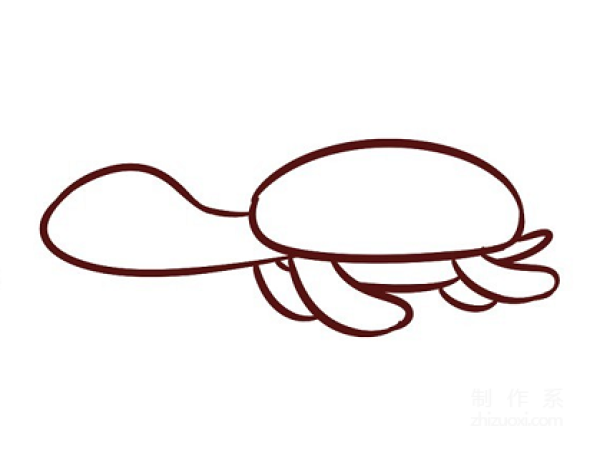 Learn to draw simple strokes, how to draw a little turtle