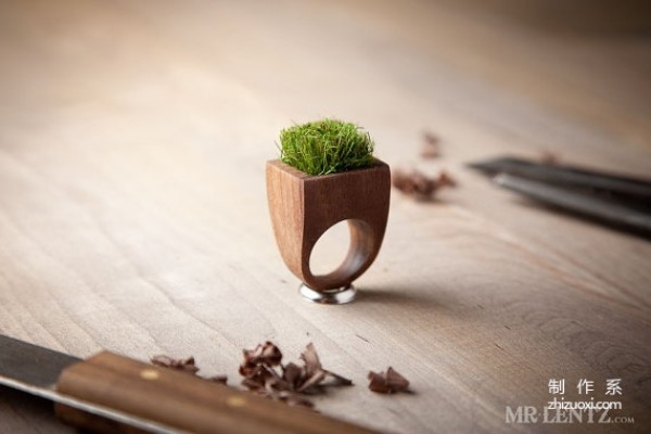 Plant rings and plant necklaces