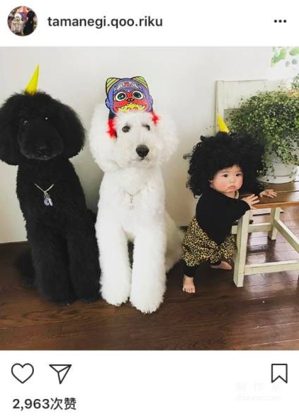 So cute! A 1-year-old girl and three dogs sleep together, eat together, and wear the same clothes...