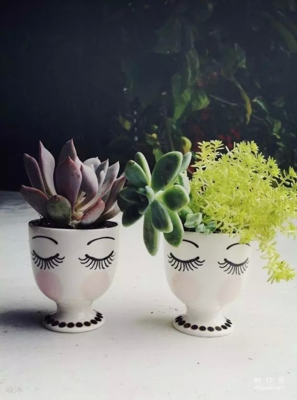 Succulents can also be grown like this...