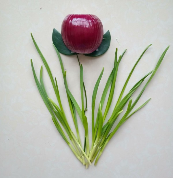 Illustrated method for DIY tulips using leeks and onions