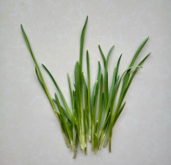 Beautiful and simple handmade method of pasting orchids and butterflies on leeks