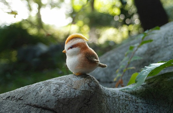 Appreciation of wool felt handmade DIY bird products in the mountains