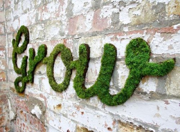 Tutorial on DIY Moss Graffiti