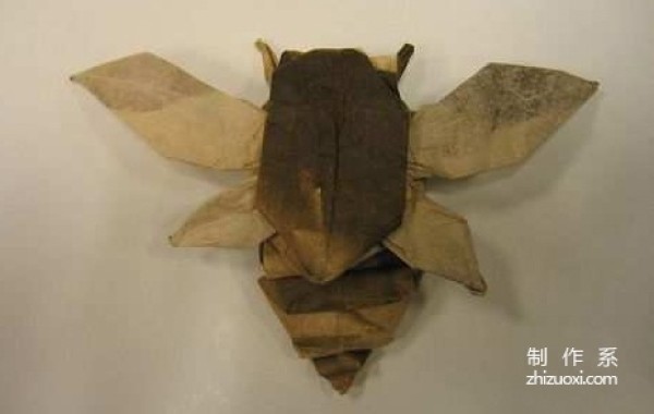 Paper art hand-making tutorial, Kawahata Fumaki Insect origami cicada Flying cicada Hand-made origami drawing tutorial