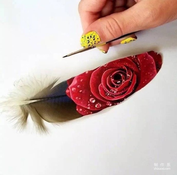 Animal illustrations on feathers 丨 Krystle Missildine-