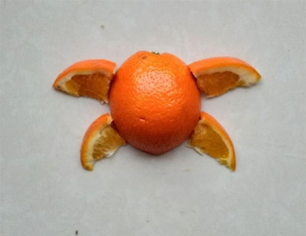 How to make orange peel collage with little turtles