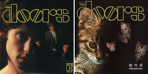 When the cat pops up on the album cover