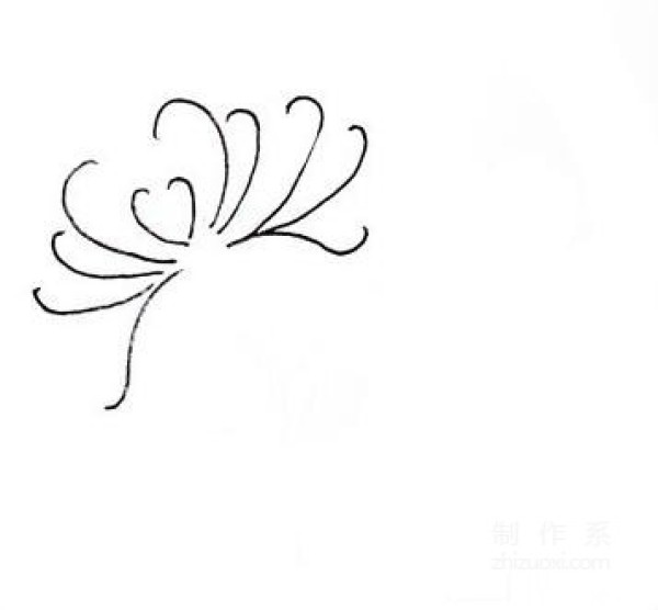 Learn to draw simple drawings, chrysanthemums during Double Ninth Festival