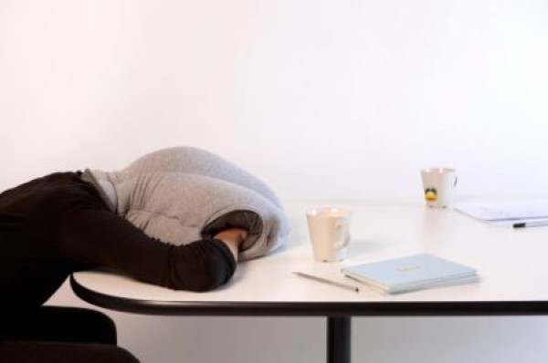 Cute ostrich pillow