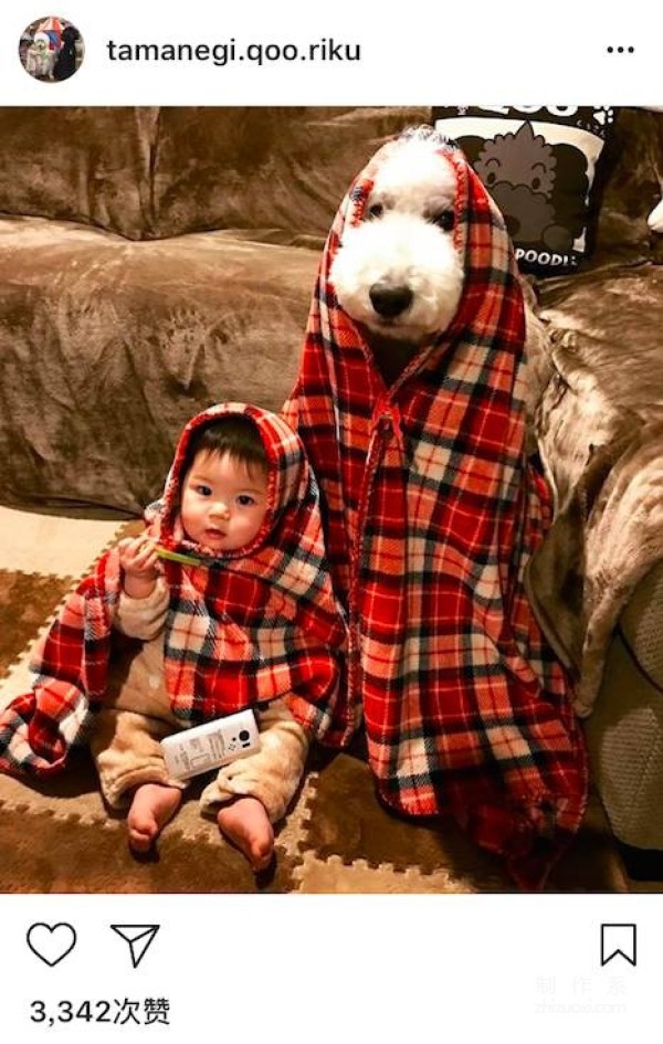 So cute! A 1-year-old girl and three dogs sleep together, eat together, and wear the same clothes...