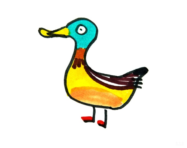 Learn to draw simple drawings, flat-billed ducks