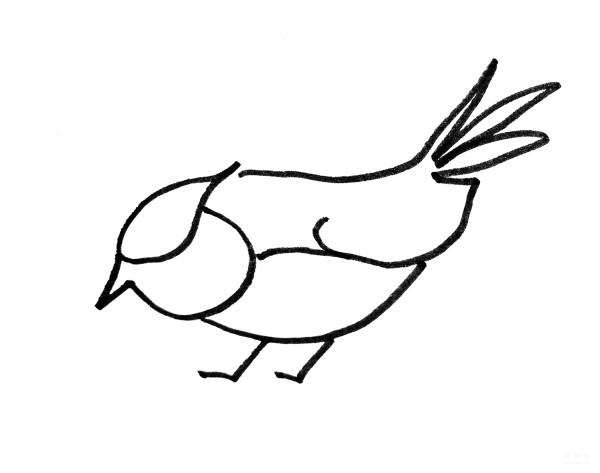 Learn to draw simple drawings, colorful birds