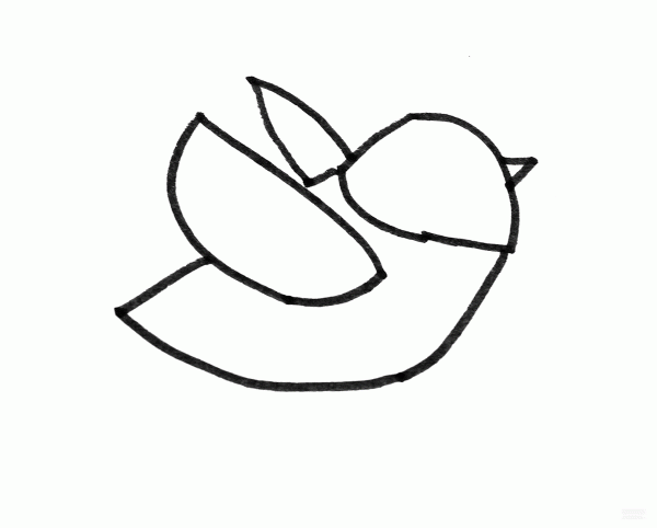 Learn to draw simple drawings, chubby birds