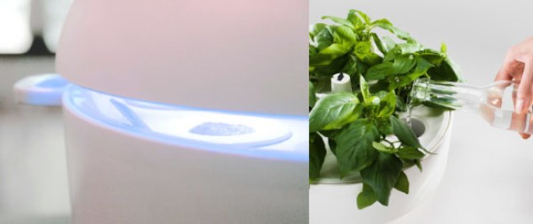 Smart garden Plantui allows you to eat fresh vegetables without leaving home