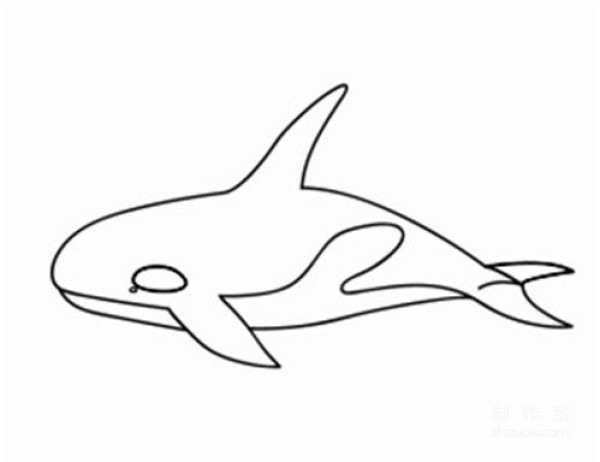 Learn to draw simple drawings, cute simple drawings of killer whales