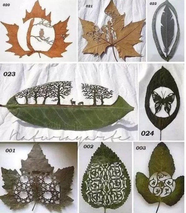 A complete collection of leaf paper-cut patterns for DIY appreciation