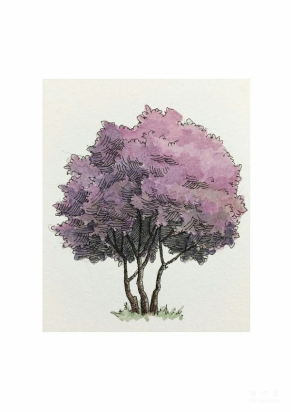 Watercolor painting of various trees