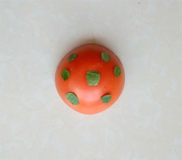 Tutorial on how to make a ladybug collage with tomatoes and leaves