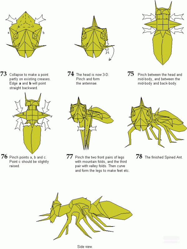 Paper art handmade origami art, Hans Birkeland Spined Ant ant handmade origami drawing tutorial