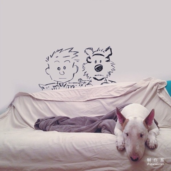 Bull Terrier: The leader of the silly and cute world