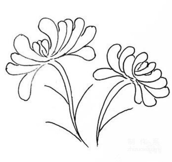 Learn to draw simple drawings, chrysanthemums during Double Ninth Festival