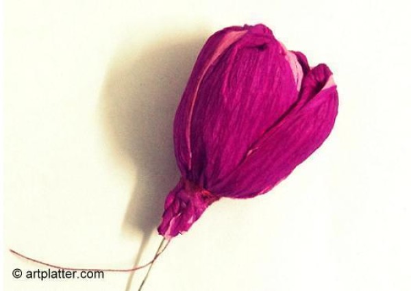 Simple and easy hand-making tutorial for tulip paper flowers