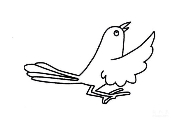 Learn to draw simple drawings, little magpie