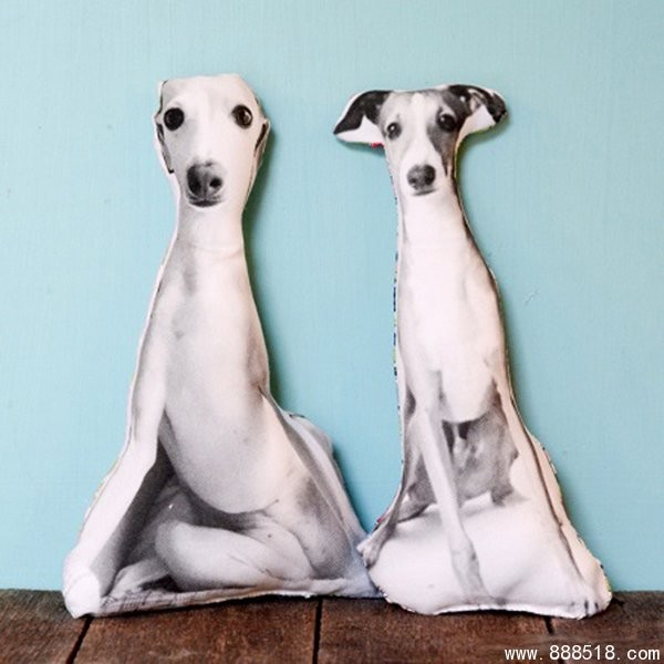 Various noble cute pet DIY creative handmade pillows