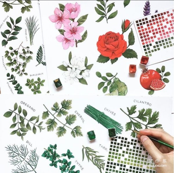 Sharing a wave of plant watercolor paintings~ It’s also very good as a handbook material!