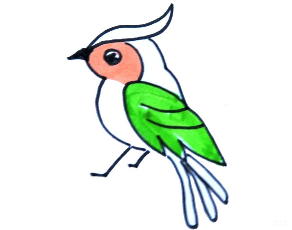 Learn to draw simple drawings, colorful parrots