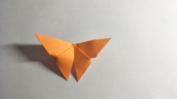 Simple origami for children, how to fold a three-dimensional butterfly