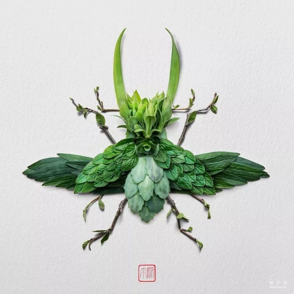 Make an insect world out of petals and leaves