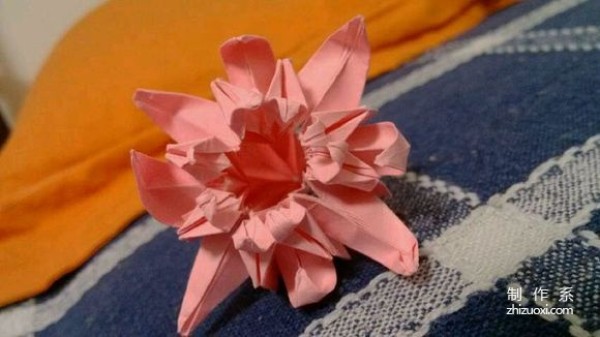 Chrysanthemum origami tutorial illustration for Double Ninth Festival