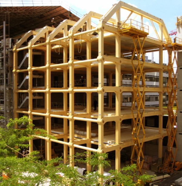 Pure wood frame office building