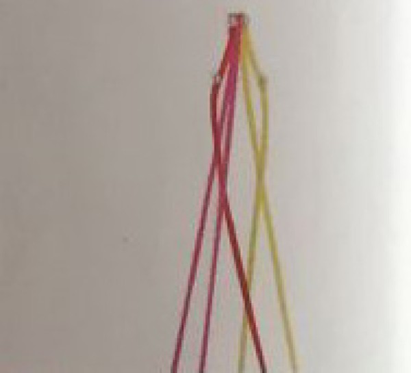 Chinese five-strand braid